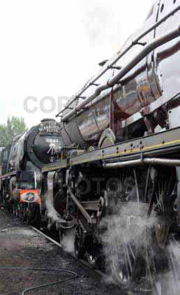 Purchase posters of 46201 PRINCESS ELIZABETH